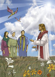 «Guardate gli uccelli del cielo: non seminano… il Padre vostro celeste li nutre. Non valete più di loro?».