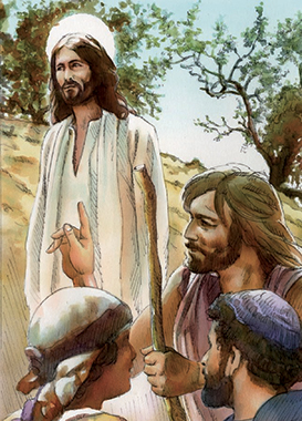 Commento - Disegno: Stefano Pachì