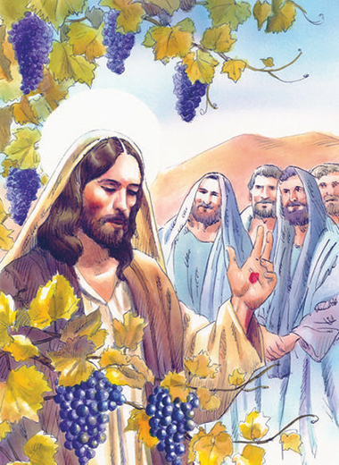 Commento - Disegno: Stefano Pachì