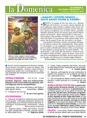 VII DOMENICA DEL TEMPO ORDINARIO / A