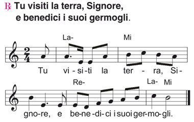 Salmo