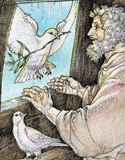 La colomba, rilasciata da Noè, torna all’Arca con un rametto d’olivo, (Illustrazione di Alfredo Brasioli, 2014).