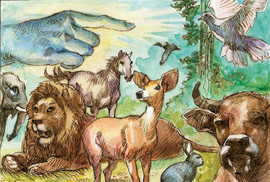 «Dio crea gli animali», di Giorgio Trevisan, 2014.