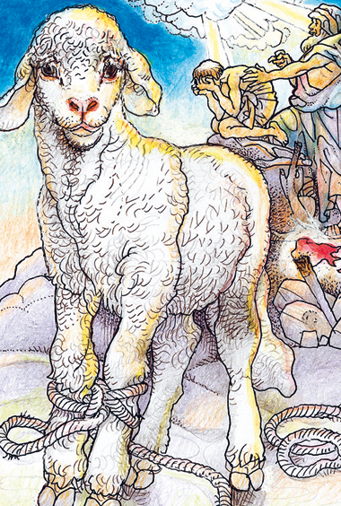 “Agnello”, illustrazione di Alfredo Brasioli, 2014.