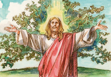 «Il regno di Dio è come un granello di senape, che diventa più grande di tutte le piante dell’orto».