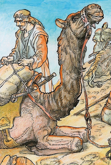 “Cammello”, illustrazione di Alfredo Brasioli, 2014. “Cammello”, illustrazione di Alfredo Brasioli, 2014.