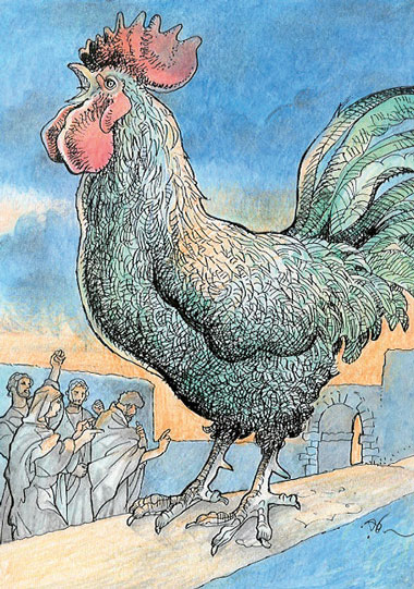 “Gallo”, illustrazione di Alfredo Brasioli, 2014.