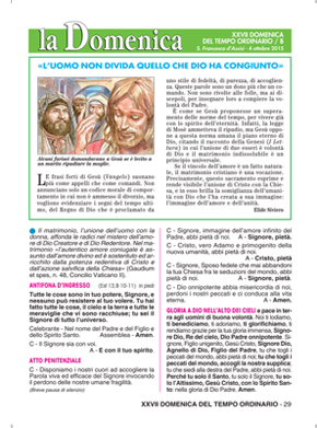 XXVII DOMENICA DEL TEMPO ORDINARIO / B