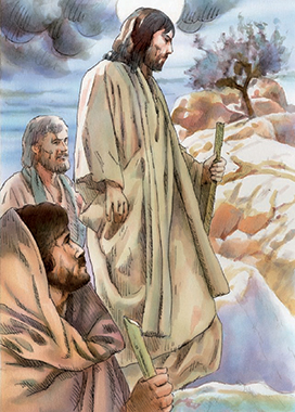 Commento - Disegno: Stefano Pachì