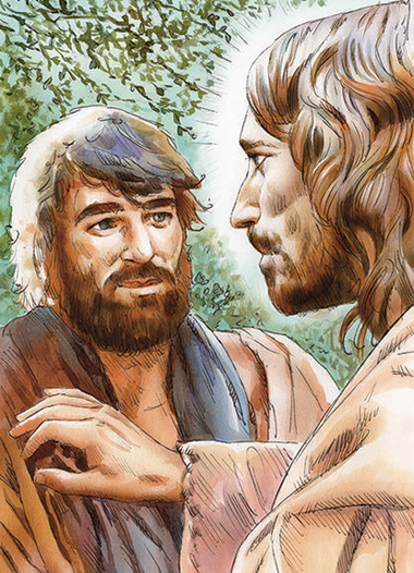 Commento - Disegno: Stefano Pachì