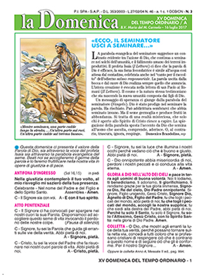 XV DOMENICA DEL TEMPO ORDINARIO - 2017