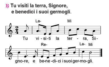 Salmo