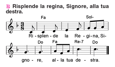 Salmo