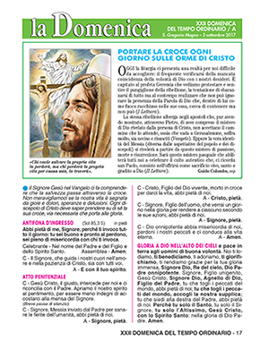 XXII DOMENICA DEL TEMPO ORDINARIO - 2017