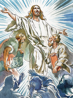 Commento - Disegno: Stefano Pachì