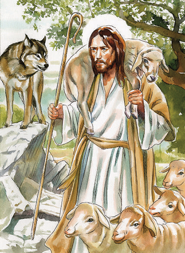 Commento - Disegno: Stefano Pachì