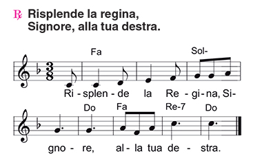 Salmo