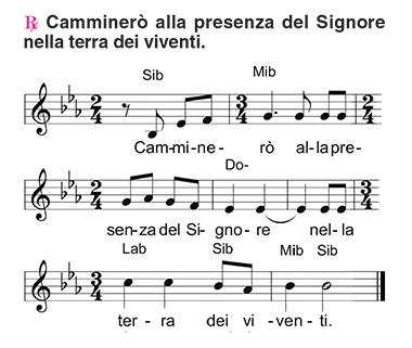 Salmo Salmo