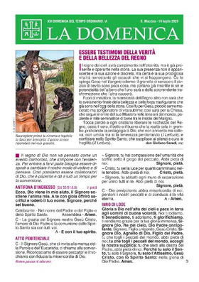 XVI DOMENICA DEL TEMPO ORDINARIO 2020