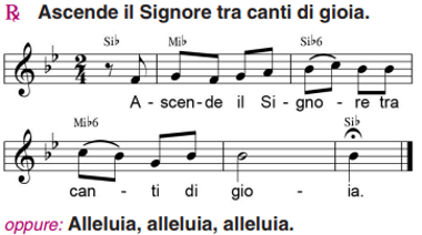 salmo
