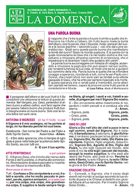 VIII DOMENICA DEL TEMPO ORDINARIO / C